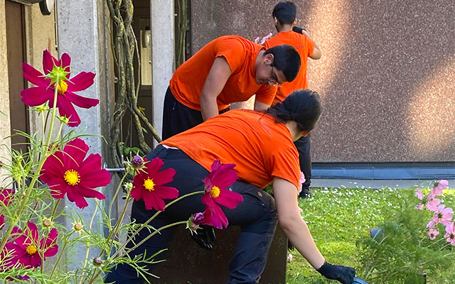 Tre ungdomar i orange t-shirt planterar blommor