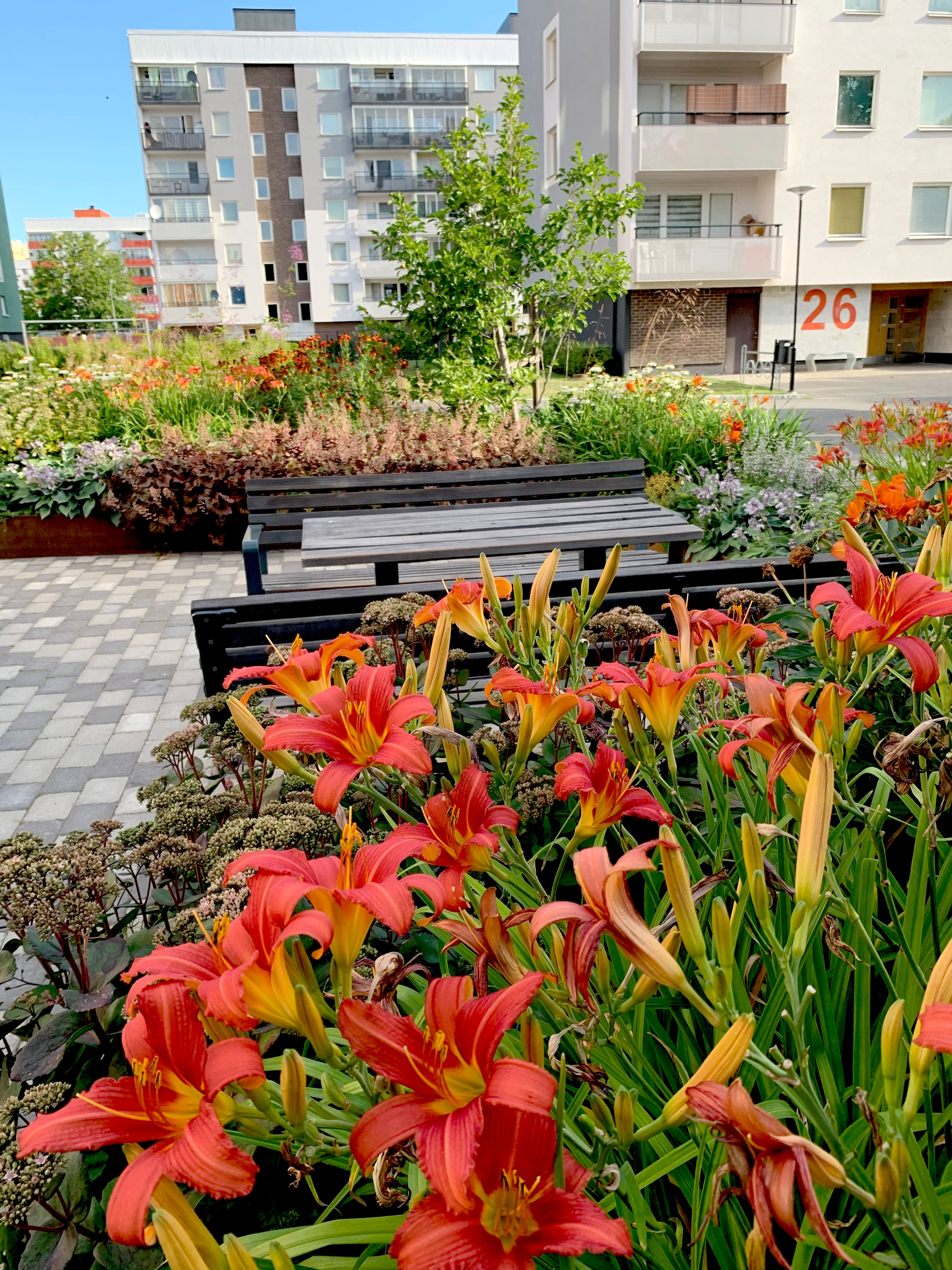 blommor med hus i bakgrunden