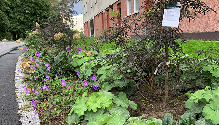 Plantering-Passvägen