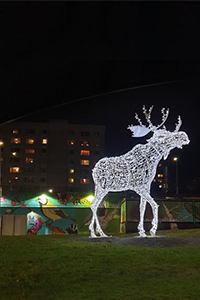 julbelysning-älg-Storvreten