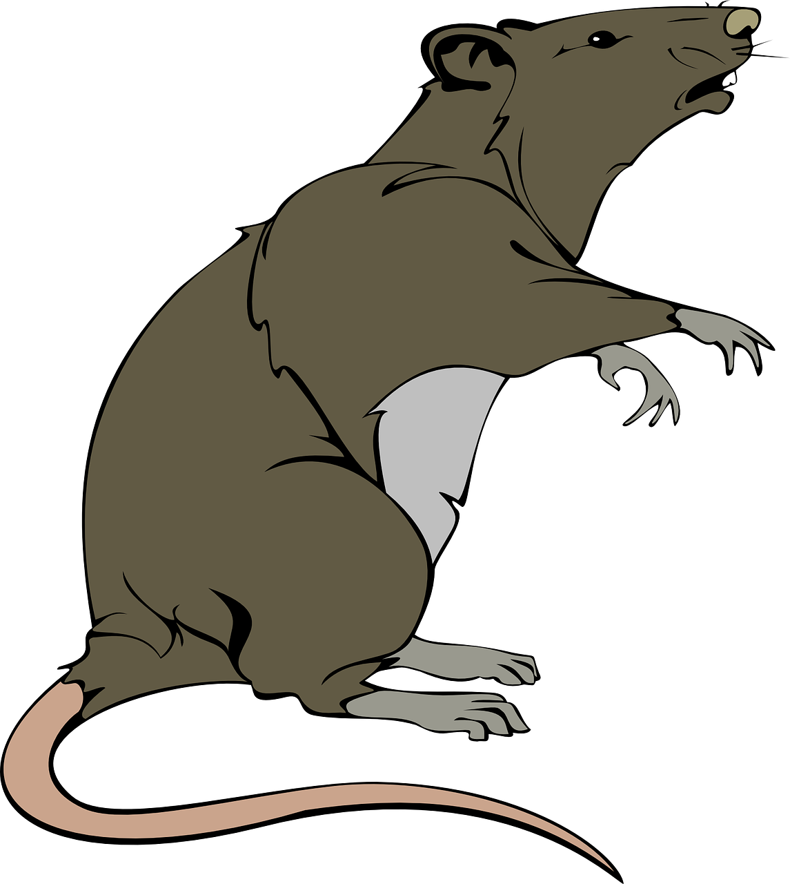 Illustration råtta